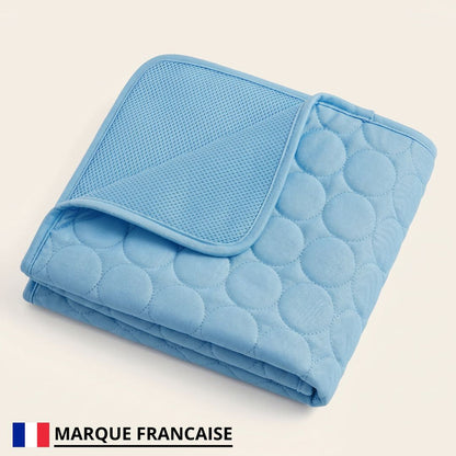 Elyvenza™ FrostPaw™ – Tapis rafraîchissant pour chien