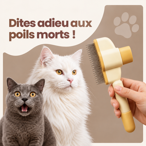 ElyBrush™ – Brosse anti-poils morts pour chat
