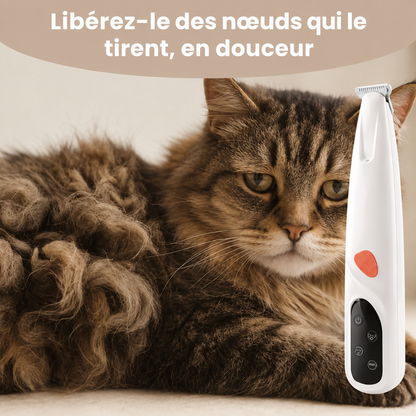 Elyvenza SilentPaw™ — Tondeuse de toilettage silencieuse pour chat