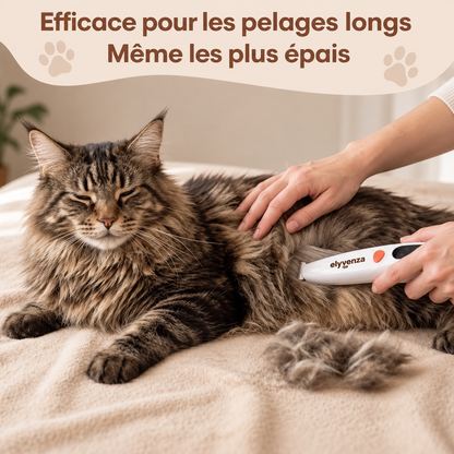 Elyvenza SilentPaw™ — Tondeuse de toilettage silencieuse pour chat