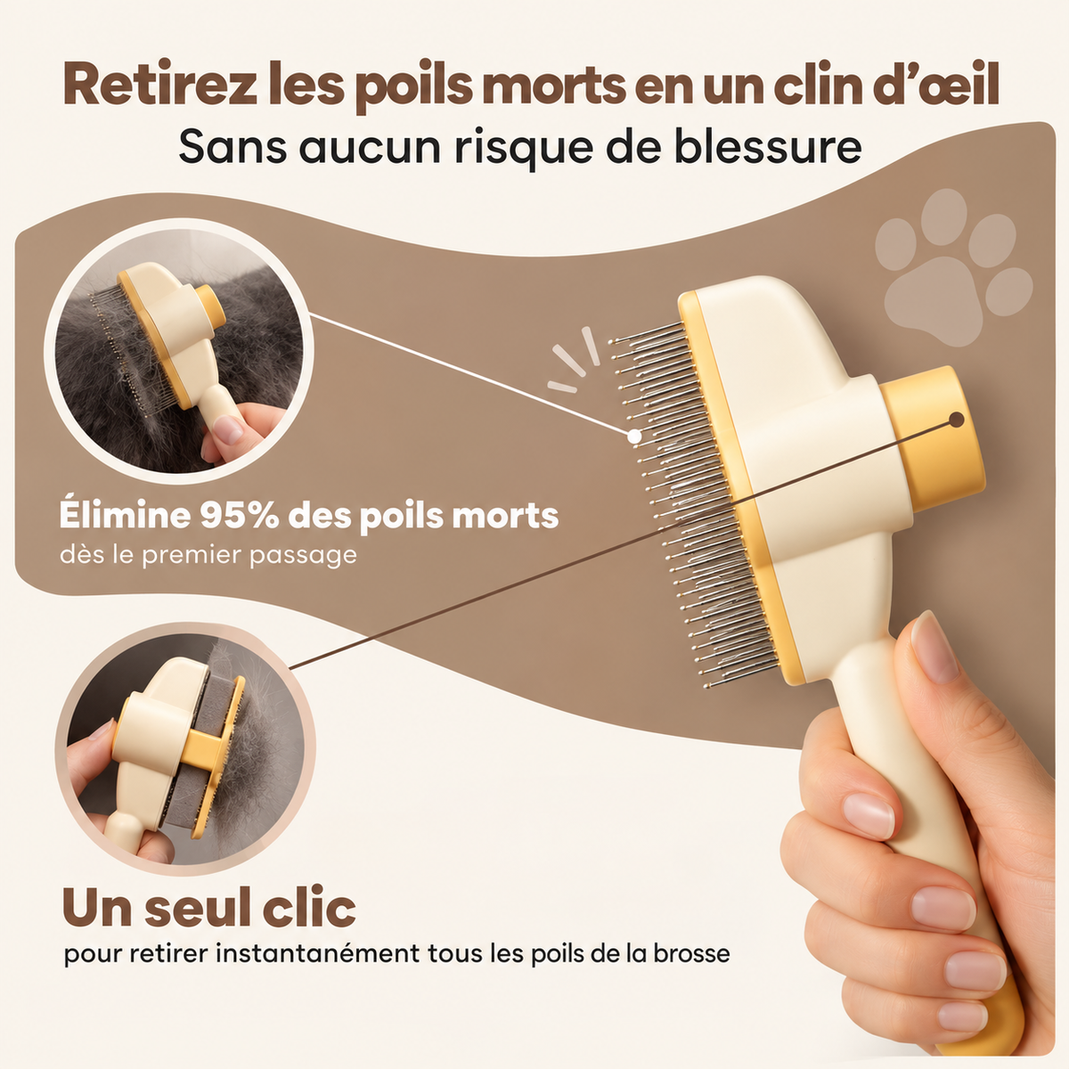 ElyBrush™ – Brosse anti-poils morts pour chat