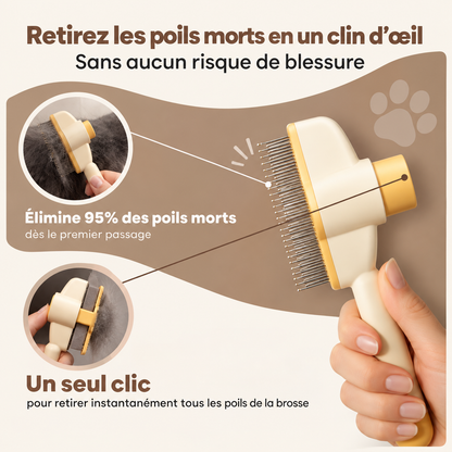 ElyBrush™ – Brosse anti-poils morts pour chat