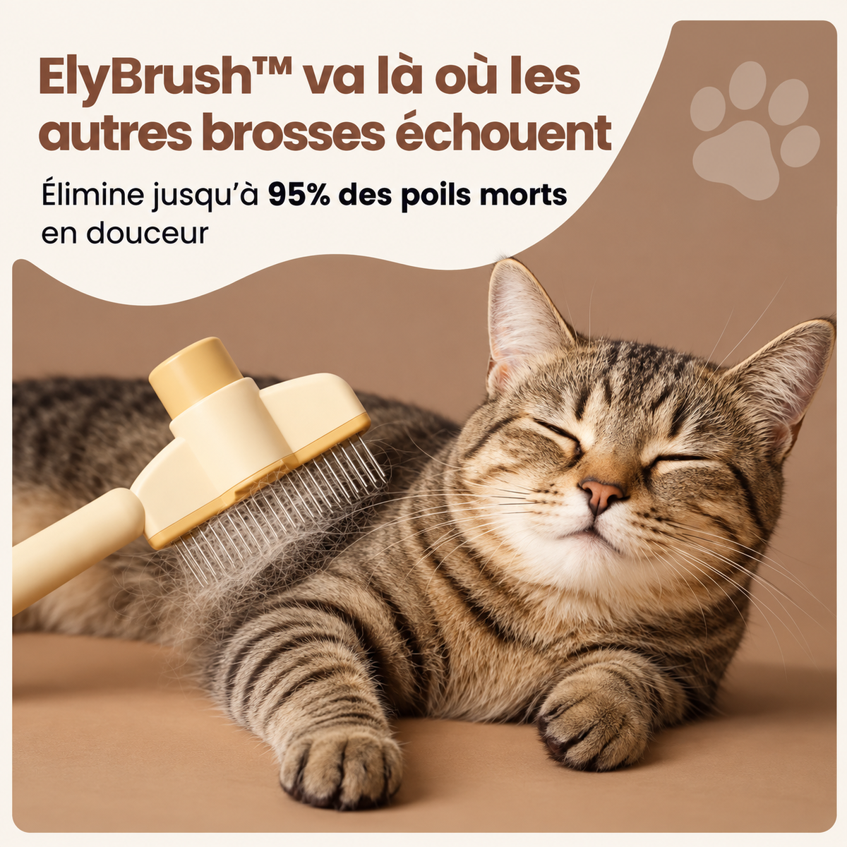ElyBrush™ – Brosse anti-poils morts pour chat