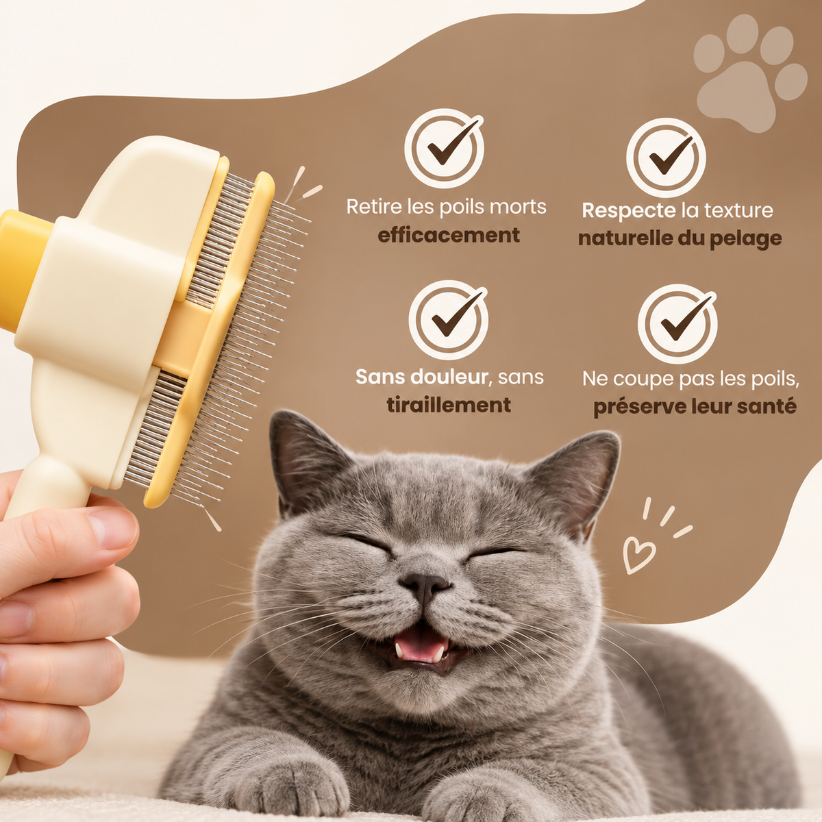 ElyBrush™ – Brosse anti-poils morts pour chat