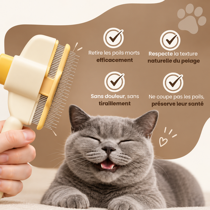 ElyBrush™ – Brosse anti-poils morts pour chat