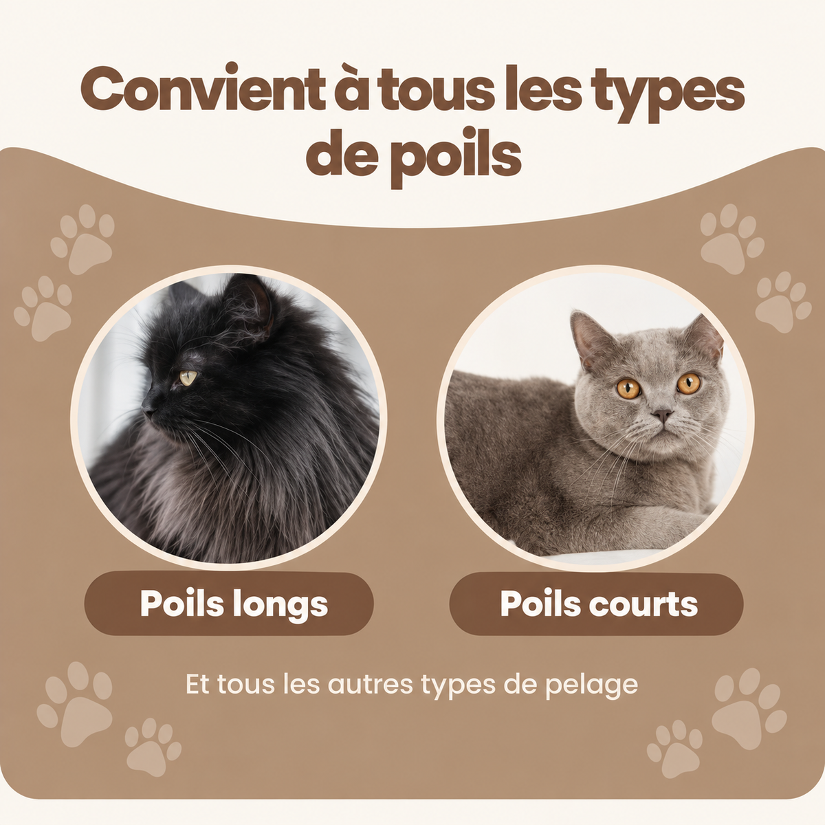 ElyBrush™ – Brosse anti-poils morts pour chat
