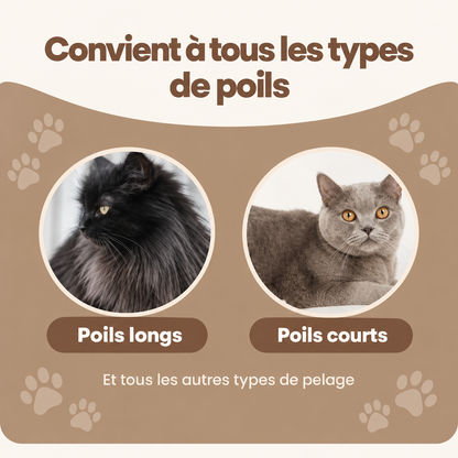 ElyBrush™ – Brosse anti-poils morts pour chat