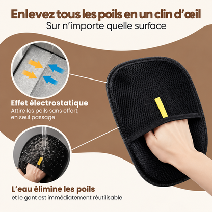 ElyClean™ – Gant attrape-poils réutilisable