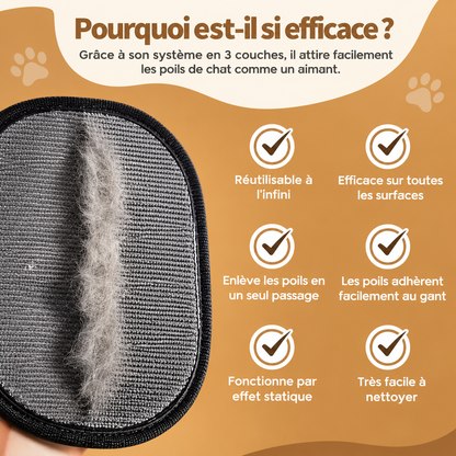 ElyClean™ – Gant attrape-poils réutilisable