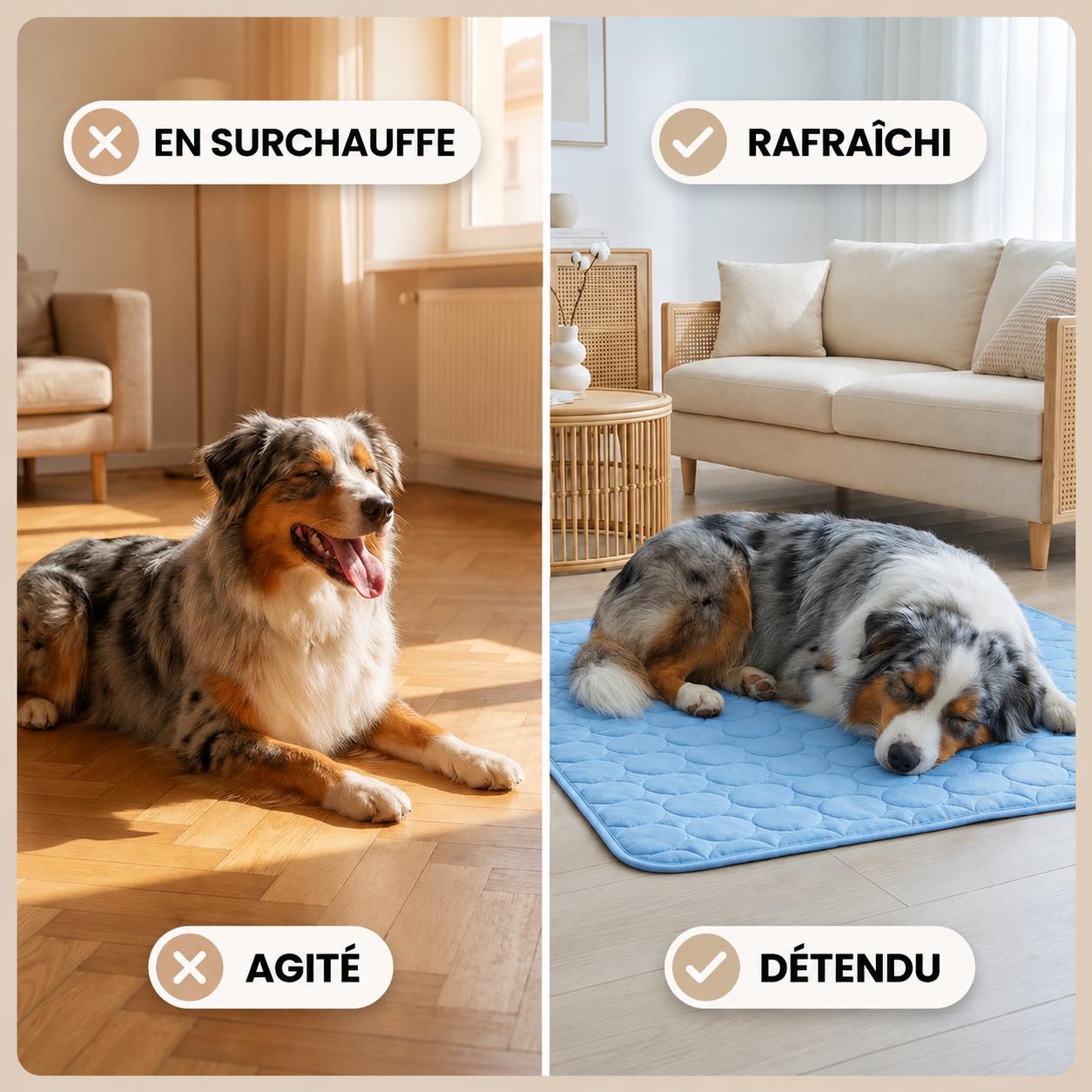 Elyvenza™ FrostPaw™ – Tapis rafraîchissant pour chien