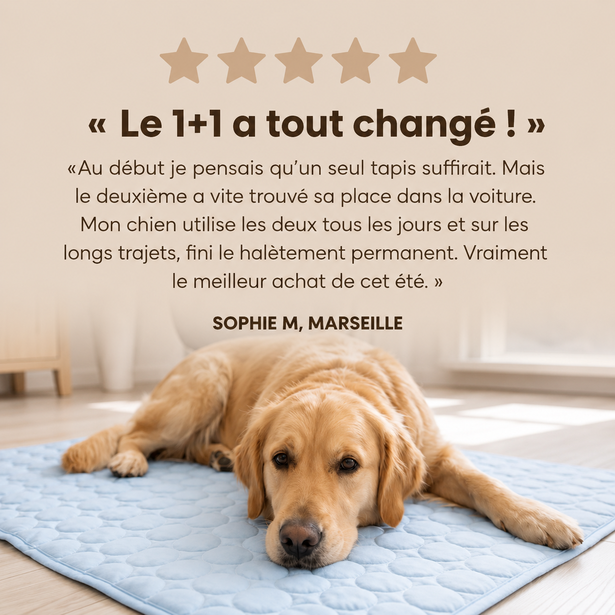 Elyvenza™ FrostPaw™ – Tapis rafraîchissant pour chien