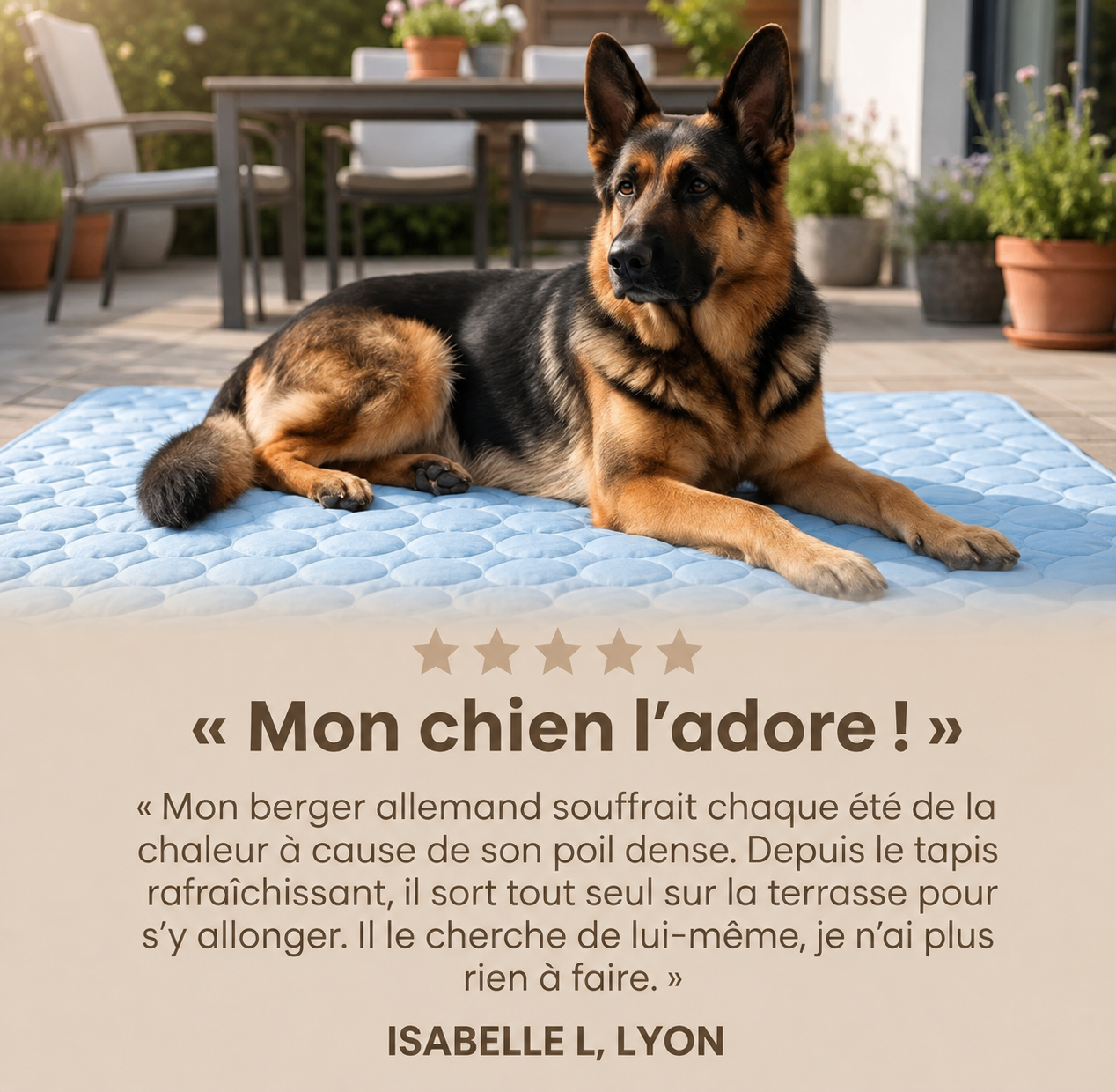Elyvenza™ FrostPaw™ – Tapis rafraîchissant pour chien